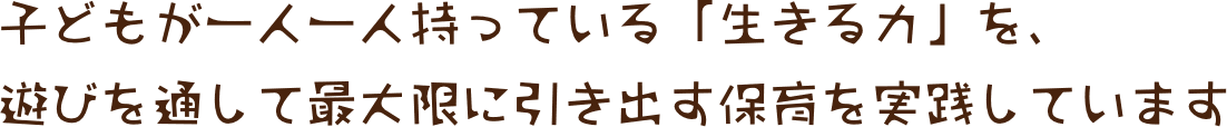 子どもが一人一人持っている「生きる力」を、遊びを通して最大限に引き出す保育を実践しています